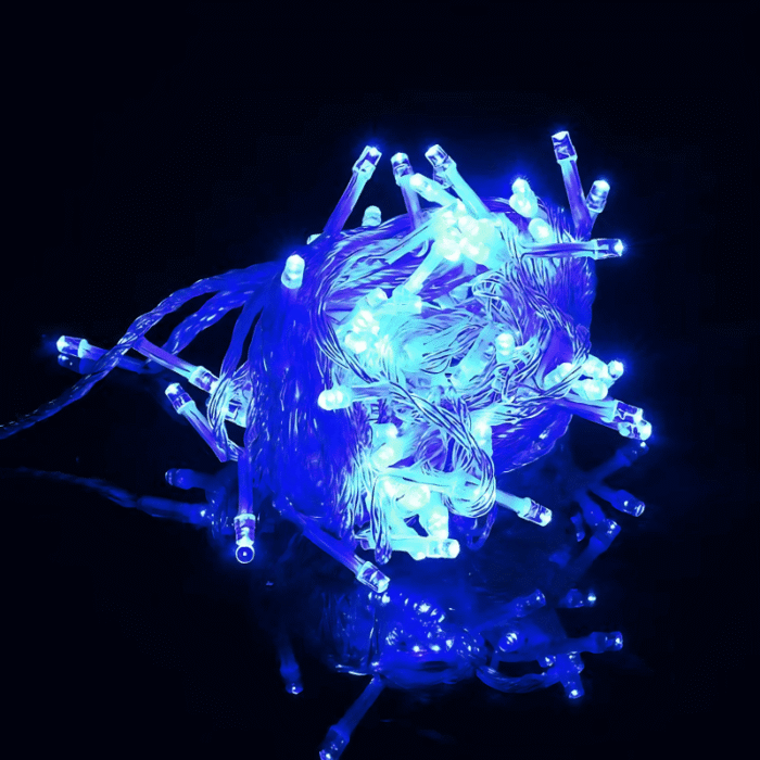 fairy string light (10)