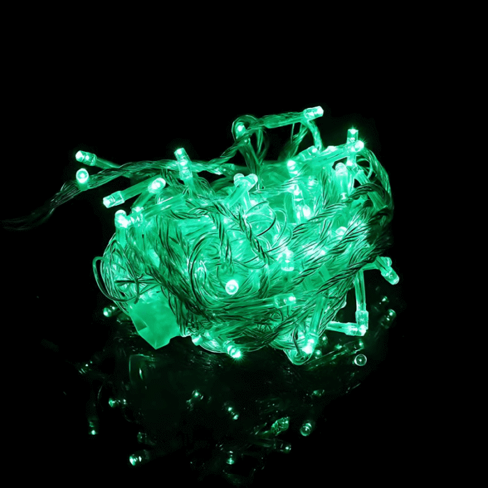 fairy string light (4)