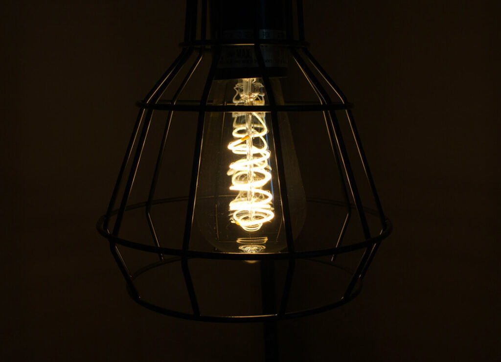 bird cage pendant light