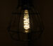 bird cage pendant light