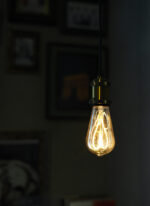 st64 heart edison light bulb