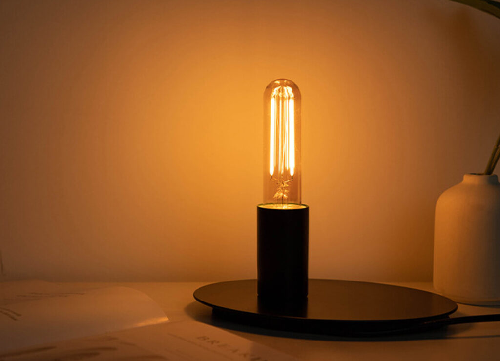 t30 straight filament light bulb