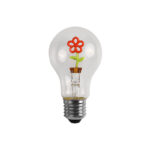 a60 LED bulb