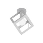 covered ceiling lights