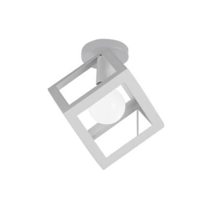 covered ceiling lights