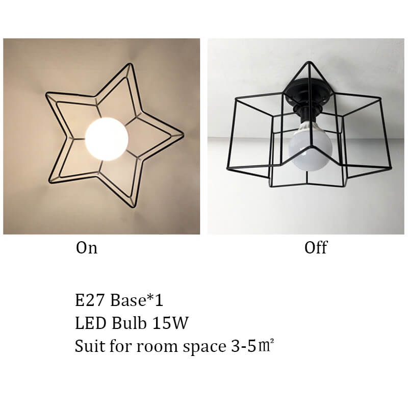 covered ceiling lights