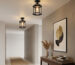black ceiling lamp for corridor