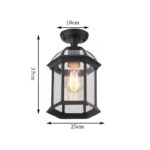black matte ceiling lamp