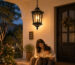 pendant light&chandelier