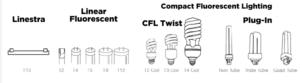 CFL bulb shape CFL bulb shape